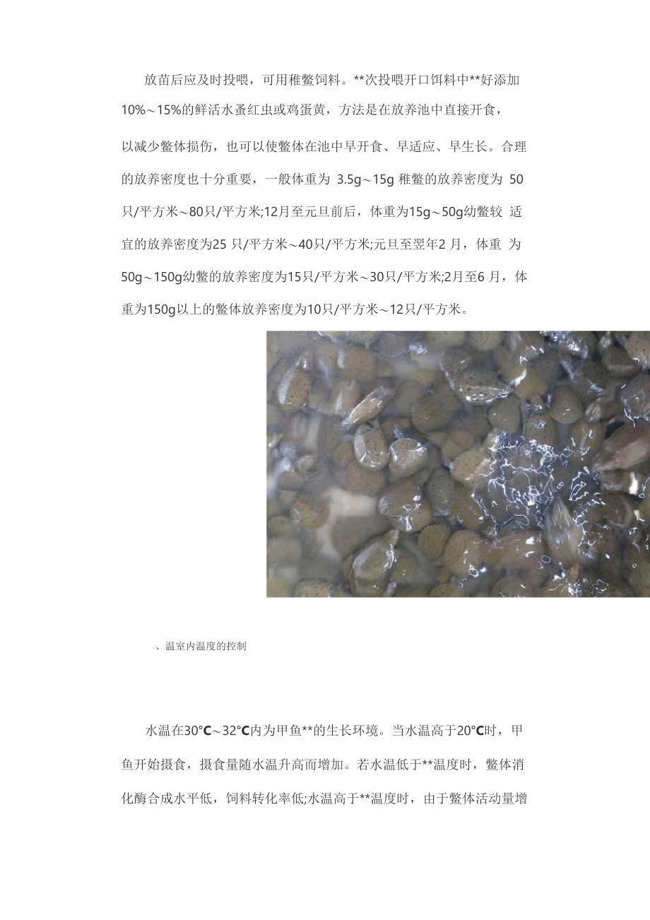 大棚养殖甲鱼的利润，探索与解析