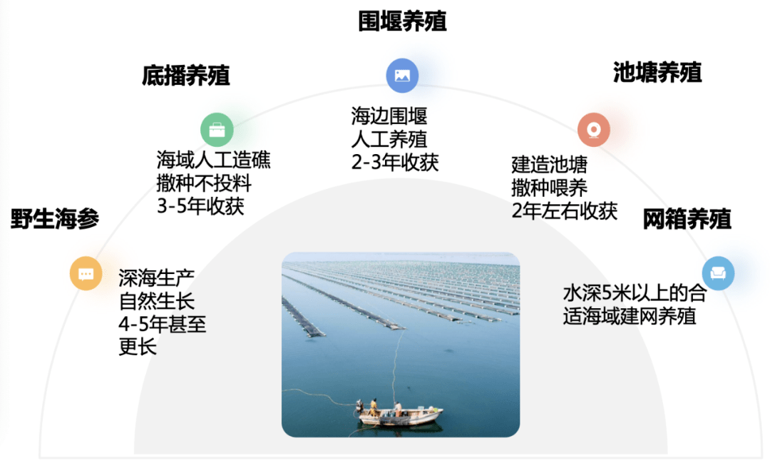 大棚养殖海参周期，探索与解析