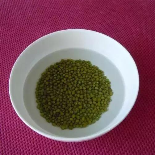 饮料瓶做豆芽的方法