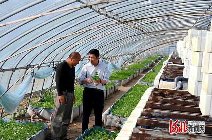 大棚养殖帆布鲈鱼的探索与实践