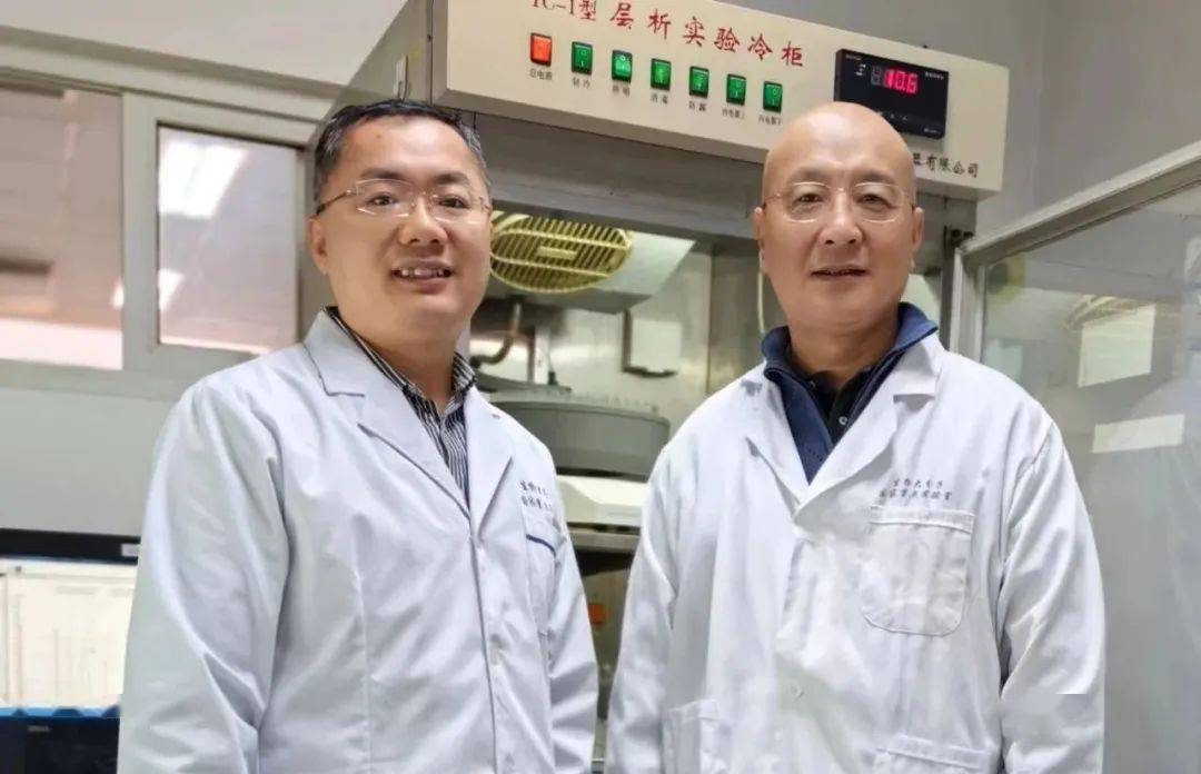 湖南麻醉专家名单——探寻湘地麻醉领域的杰出人才