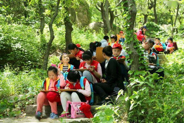 探寻大理石咖啡木纹的奇妙之旅