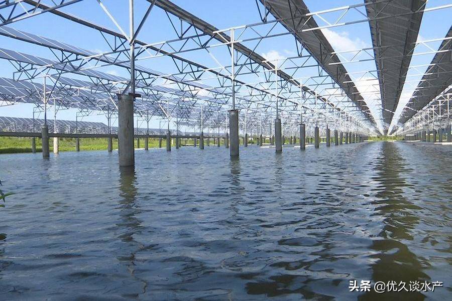 大棚高效养殖水产，技术革新与可持续发展之路