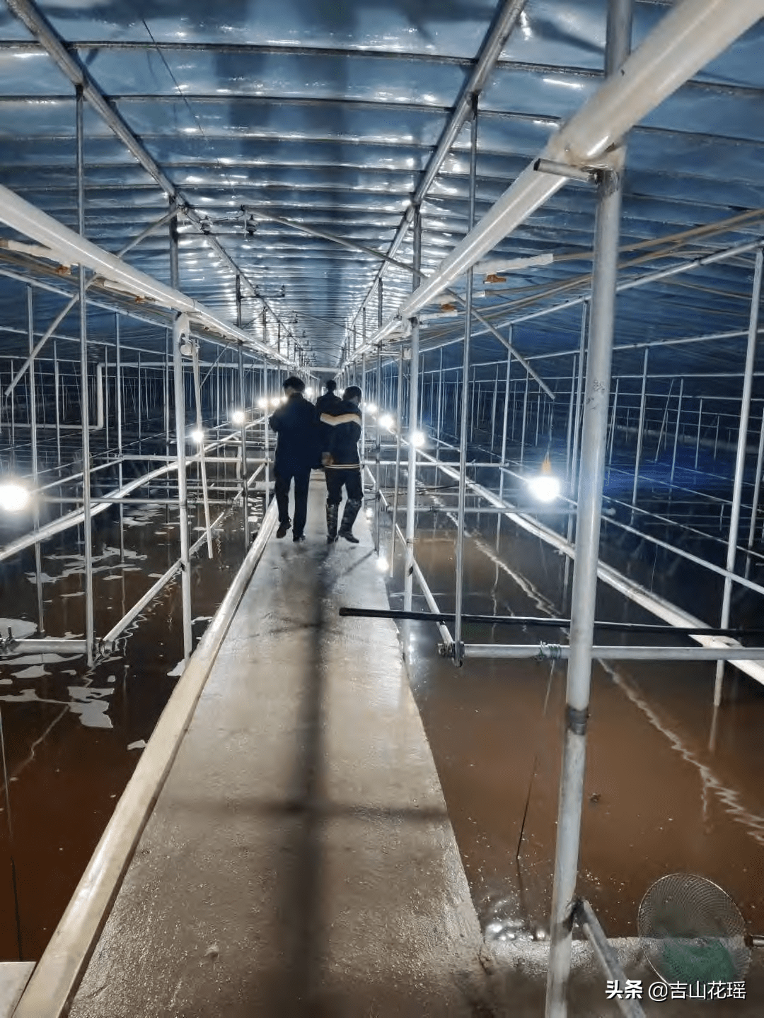 温室甲鱼大棚的建筑，设计与技术探讨