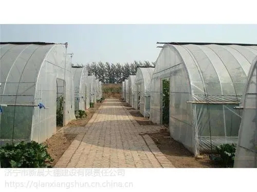 目前有没有大棚养鱼池