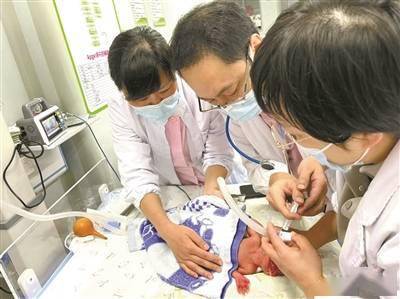 早产儿专家，守护新生儿的守护者