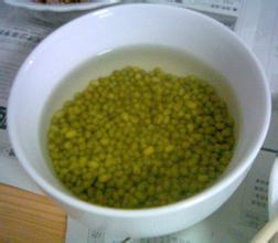 饮料瓶生绿豆芽的方法