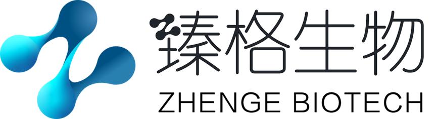 启明创投人民币二期，引领创新投资，助力产业腾飞