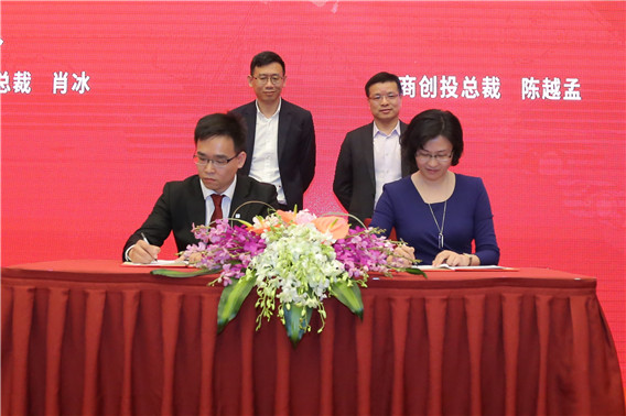 达晨创投战略合作总监，引领创新与合作的先锋力量