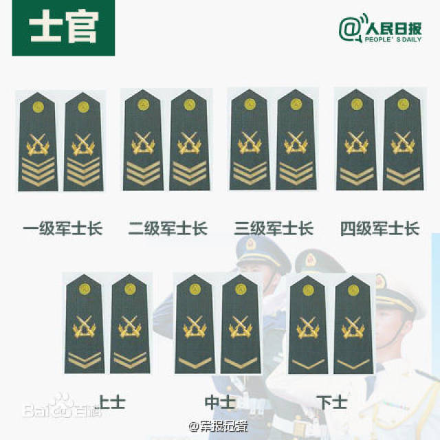 军官与士官待遇区别，职责、权利及福利的细致解读
