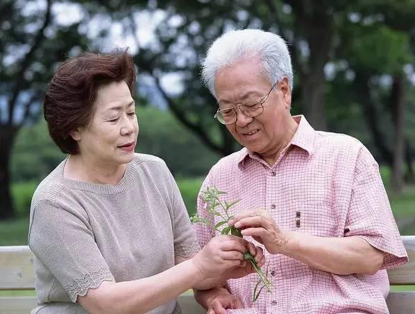 澳洲专业移民审批，深度解析与前瞻性观察