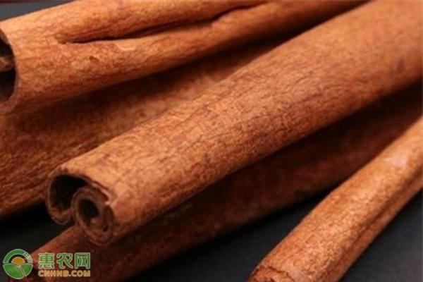 木纹石的价格及其影响因素分析