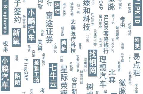 经纬创投CEO张颖，引领创新与发展的探路先锋