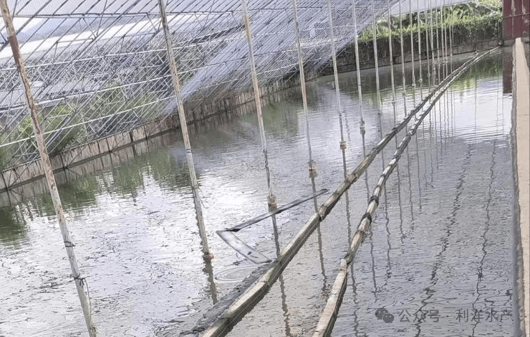 甲鱼养殖大棚建造图及其技术解析