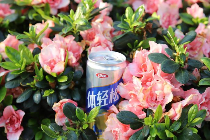 如何开发新型饮料，从理念到市场的全面指南