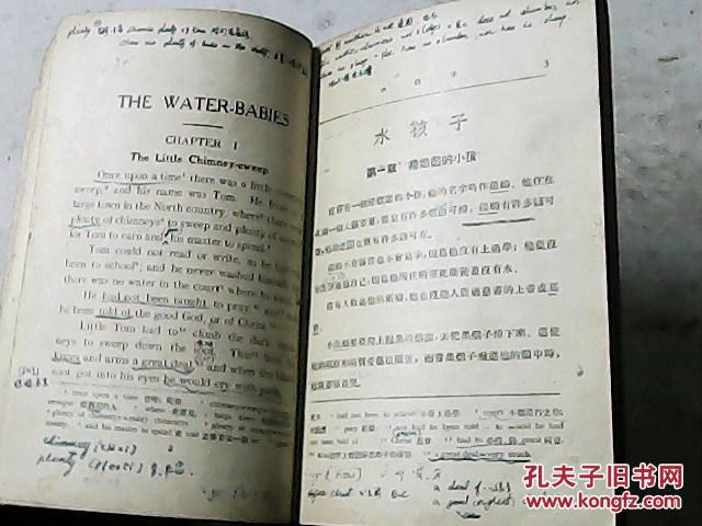 水孩子书籍的价格探究，多少钱一本？