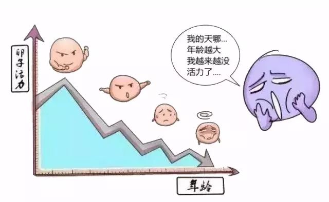 2025年5月21日 第2页