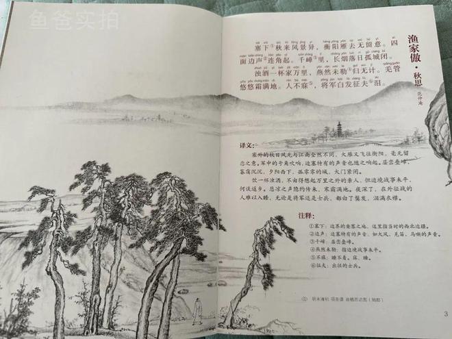 一本书读完最美古诗词，探寻古典文化的魅力之旅