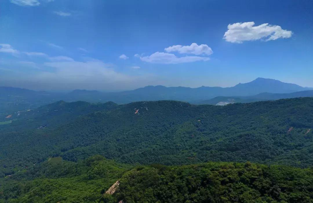 迷宫饭表情包，探索表情文化的魅力