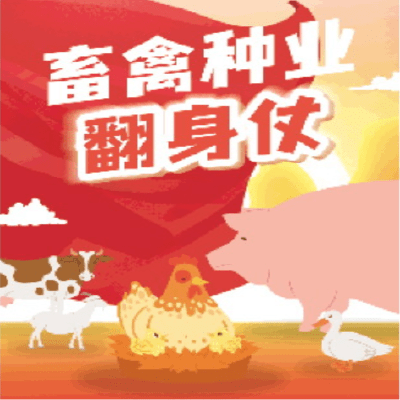 北方栾树品种，探究其特点与优势