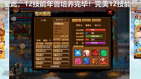 四灵族阵容，策略、能力与潜力解析