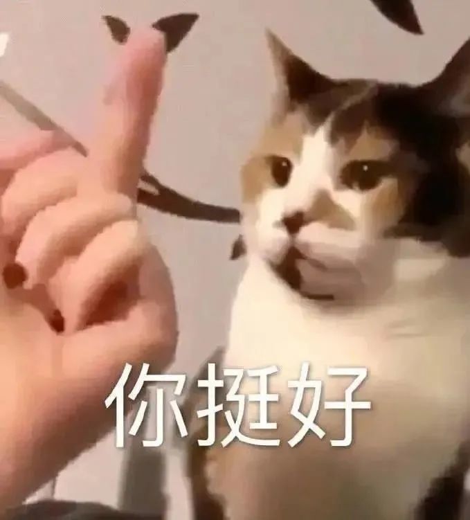 喵老师表情包，网络时代的独特魅力