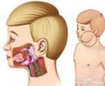 取卵后需要卧床休息吗？——关于卵巢保养与术后恢复的小探讨