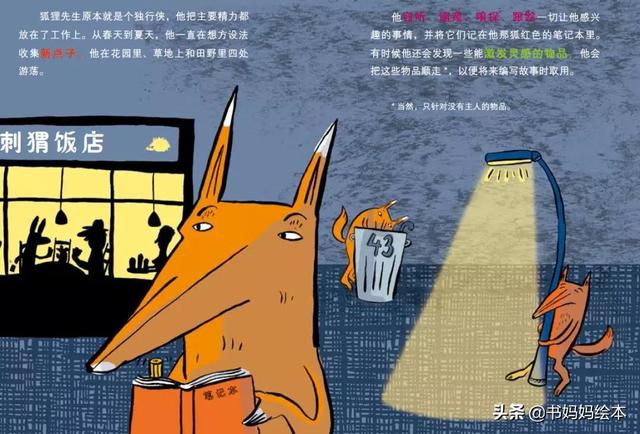 乖狐狸的一本书