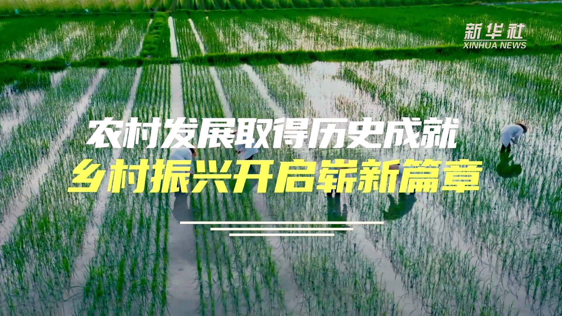 广东苗木新品种，培育与发展现状