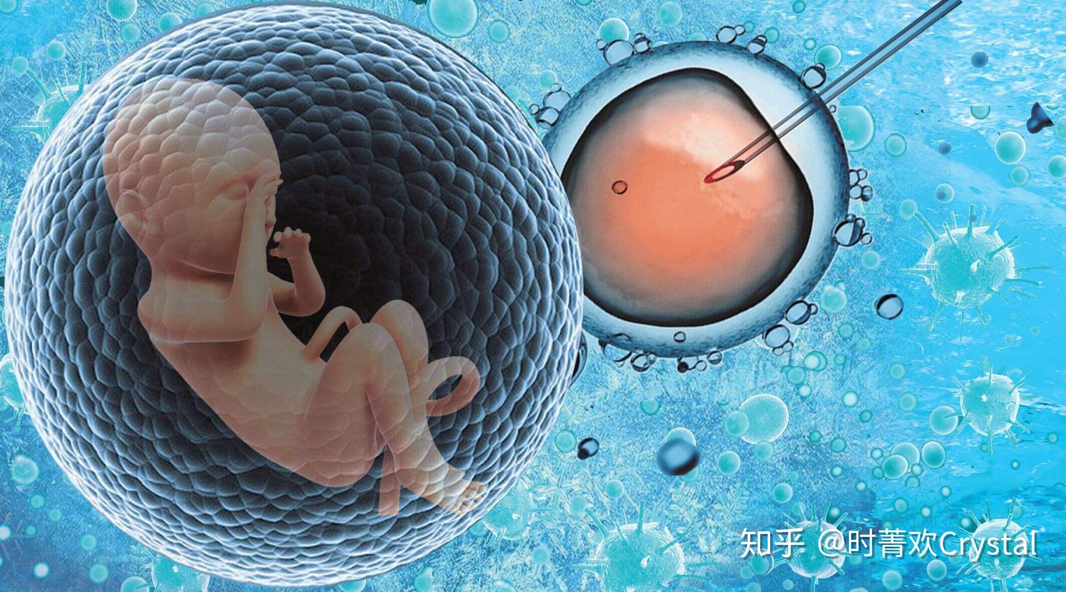 取卵后几天看胚胎，试管婴儿过程中的关键步骤与注意事项