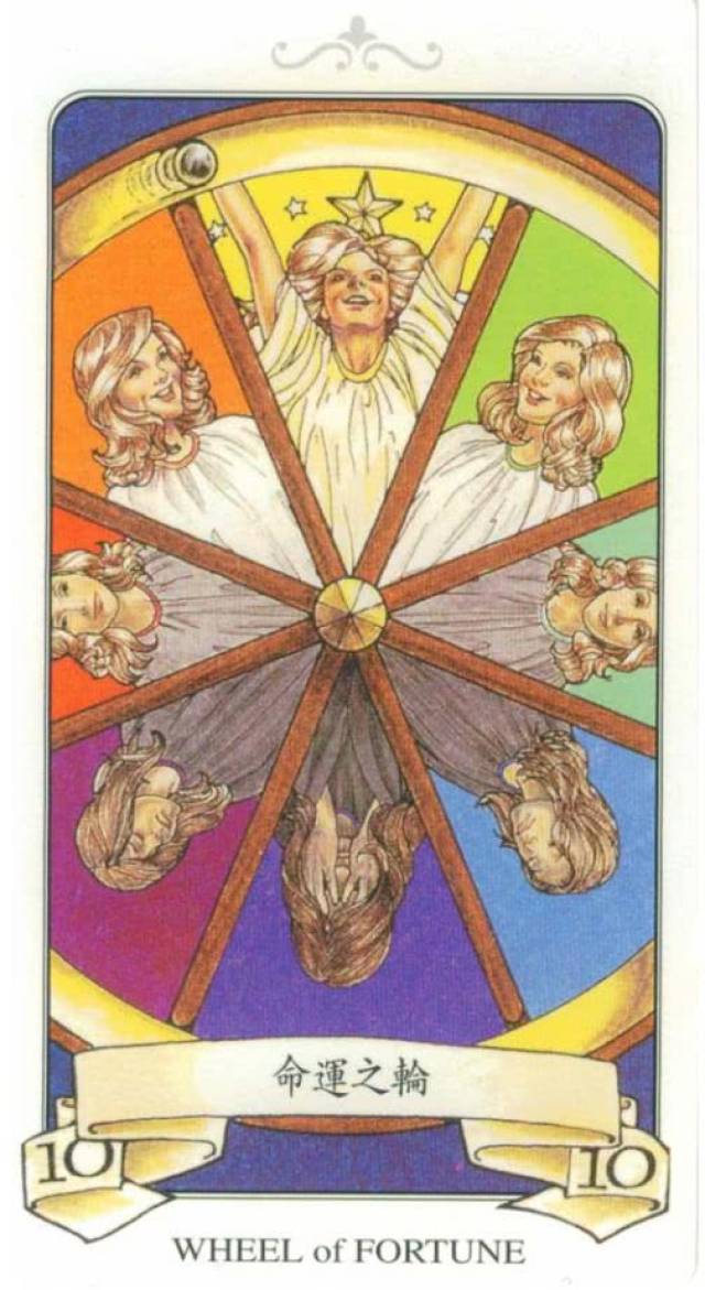 命运之轮与动态表情包，一场跨越时空的互动体验