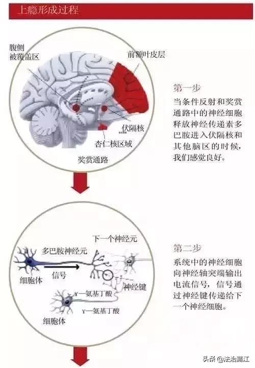 金属磨料的用途，探索其多样性与重要性
