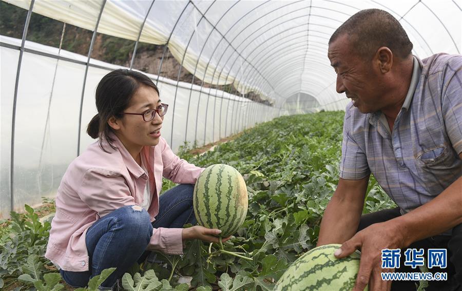 延安市光伏政策文件解读