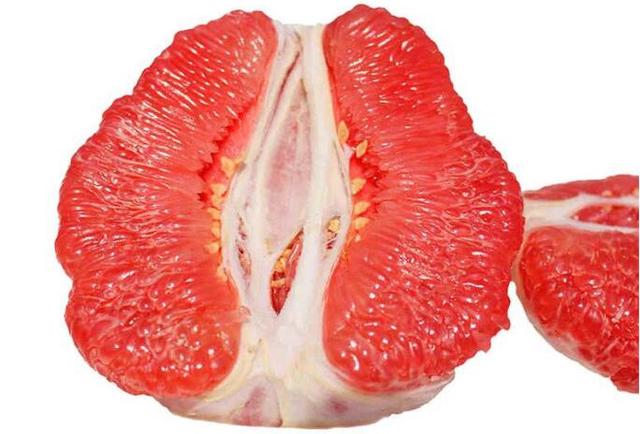 柚子与蛋花的奇妙世界