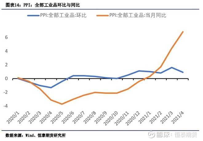 探究云杉品种的特征与多样性