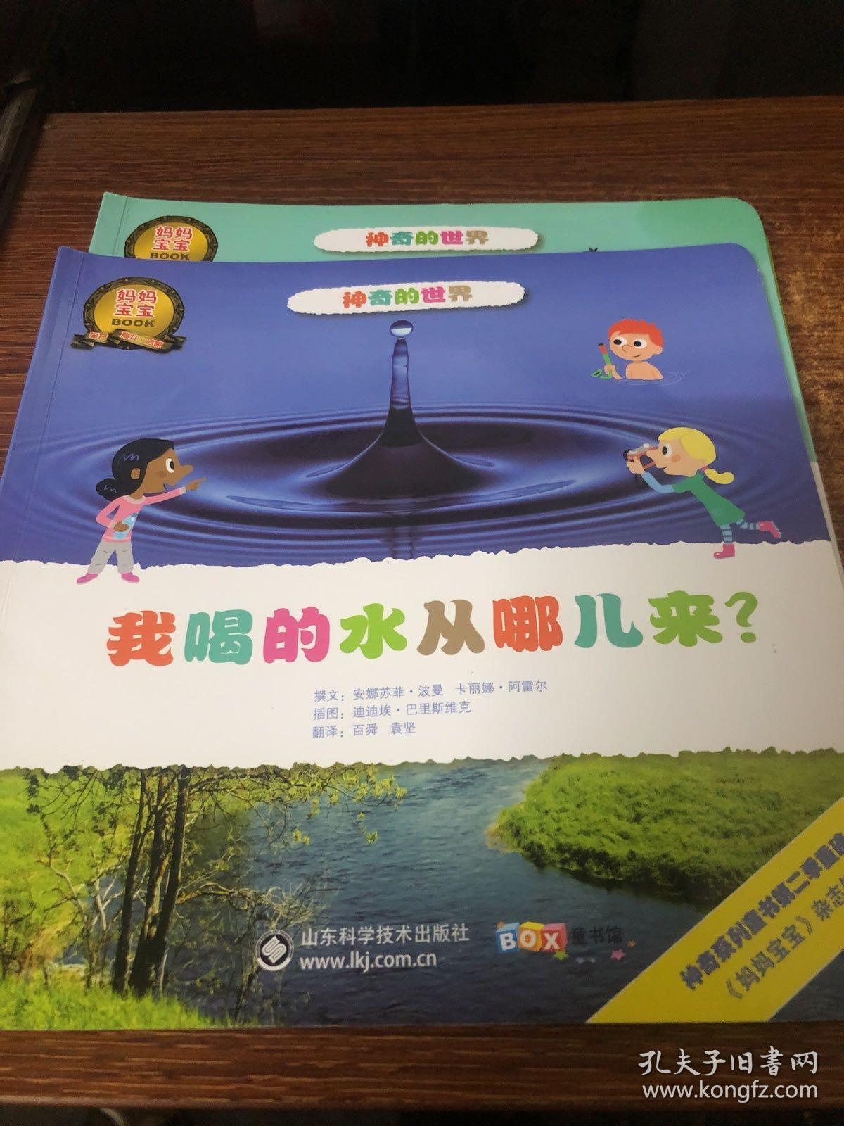 世界上最厚的一本书，知识的海洋与探索的旅程