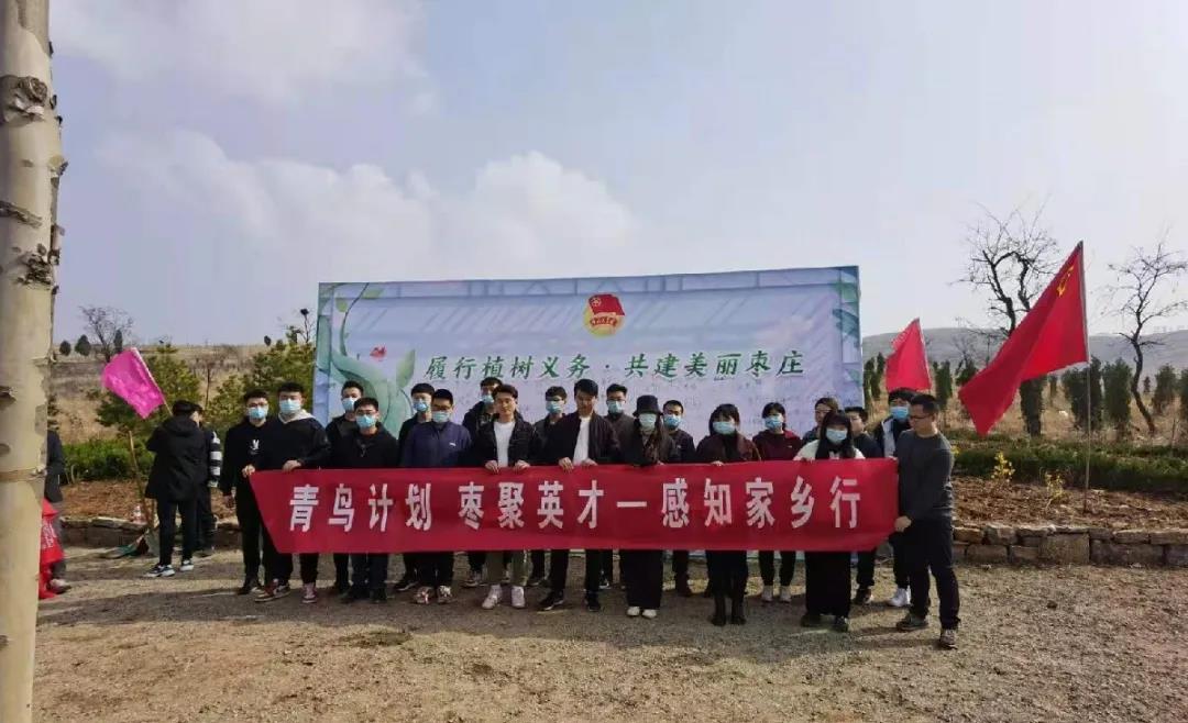 侧柏品种及其独特魅力——附图片解析